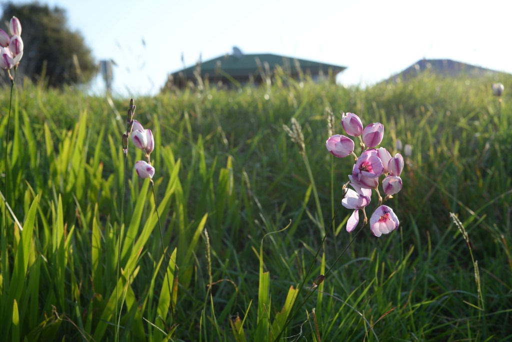 The nature of&nbsp;prayer.