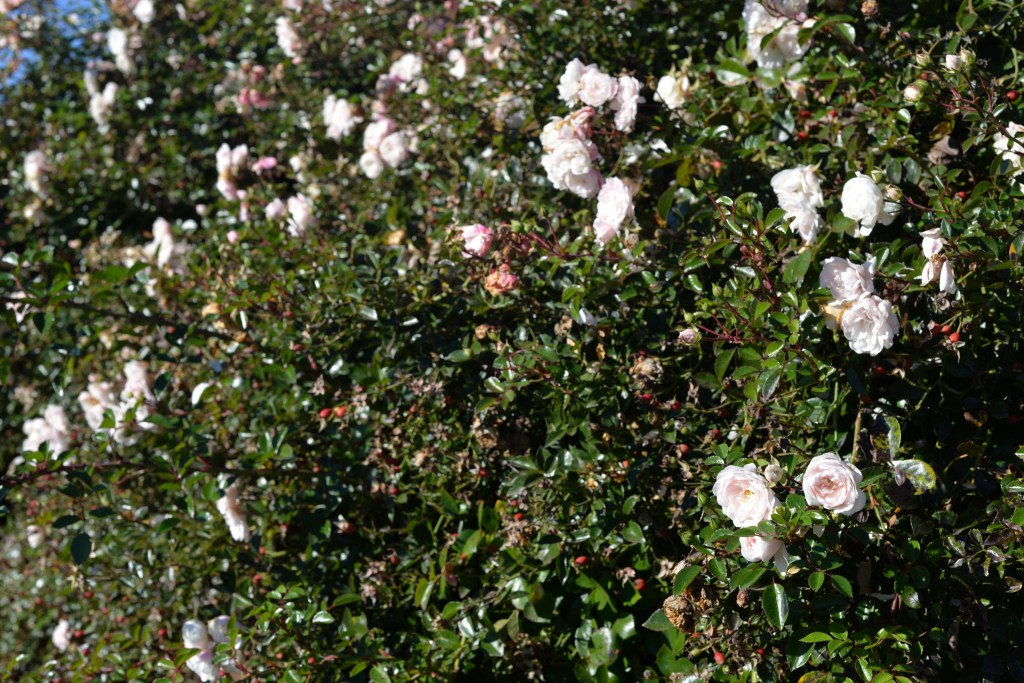 The pure in heart will see&nbsp;God