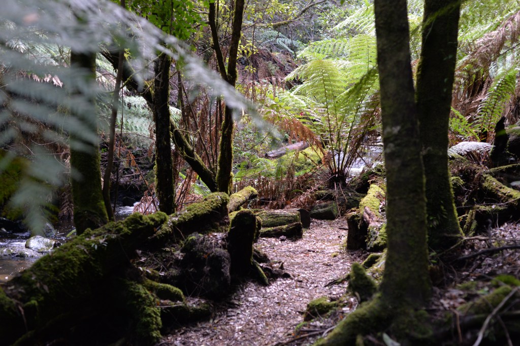 “How are we to live in God’s world?” Full&nbsp;Message