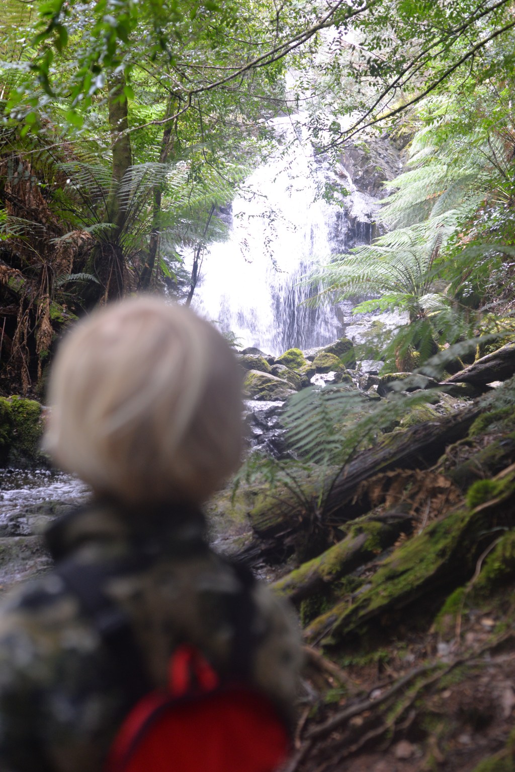 Where do works fit in with&nbsp;grace?