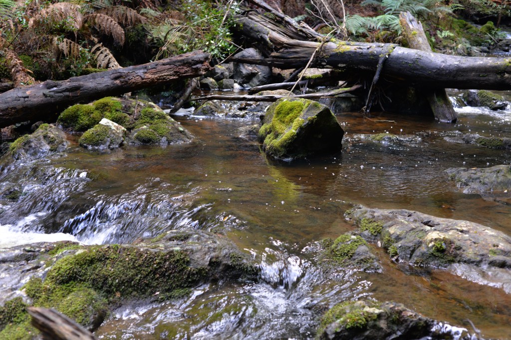 Building His Church &&nbsp;Kingdom